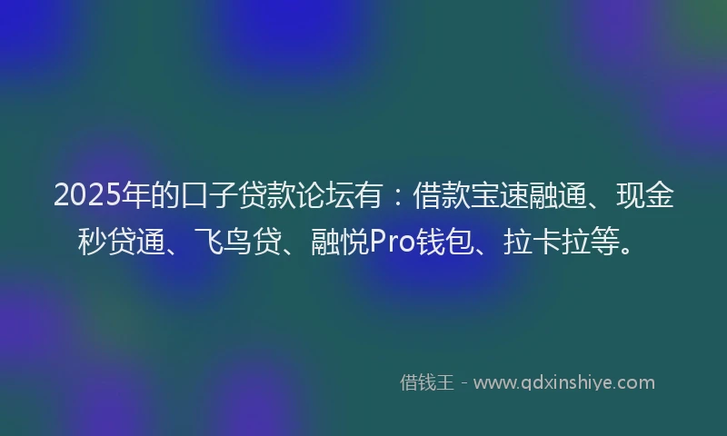2025年的口子贷款论坛有：借款宝速融通、现金秒贷通、飞鸟贷、融悦Pro钱包、拉卡拉等。