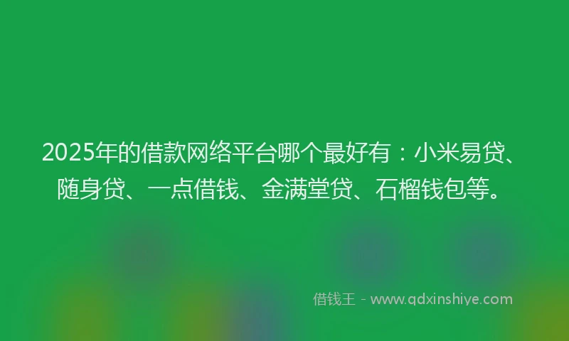 2025年的借款网络平台哪个最好有：小米易贷、随身贷、一点借钱、金满堂贷、石榴钱包等。