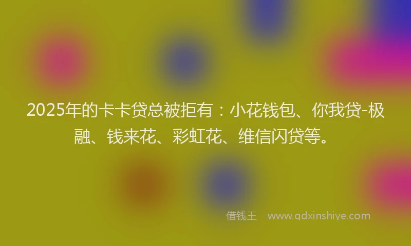2025年的卡卡贷总被拒有：小花钱包、你我贷-极融、钱来花、彩虹花、维信闪贷等。