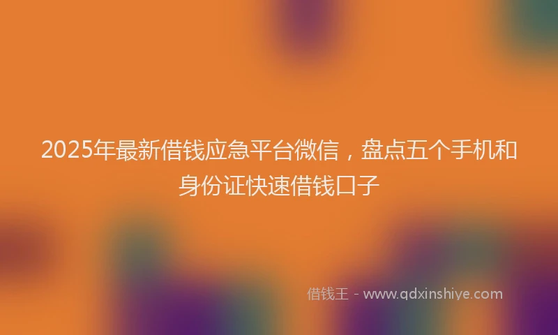 2025年最新借钱应急平台微信，盘点五个手机和身份证快速借钱口子