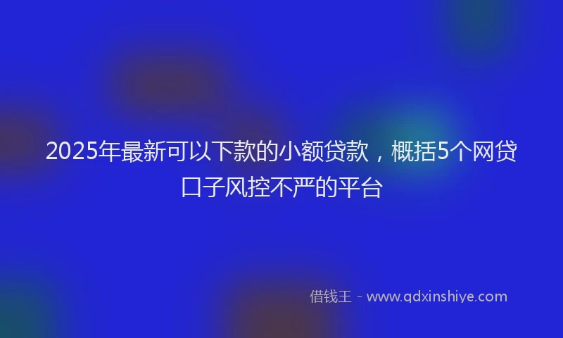 2025年最新可以下款的小额贷款，概括5个网贷口子风控不严的平台