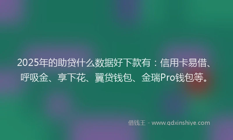 2025年的助贷什么数据好下款有：信用卡易借、呼吸金、享下花、翼贷钱包、金瑞Pro钱包等。