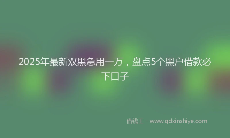 2025年最新双黑急用一万，盘点5个黑户借款必下口子