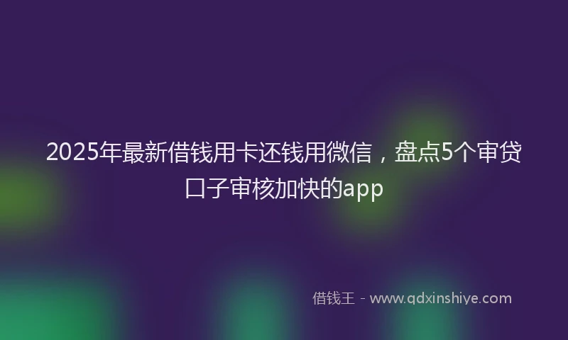 2025年最新借钱用卡还钱用微信，盘点5个审贷口子审核加快的app