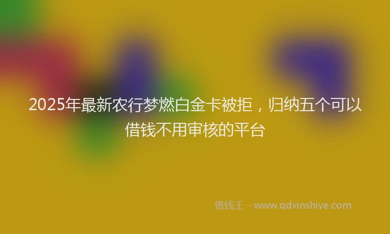2025年最新农行梦燃白金卡被拒，归纳五个可以借钱不用审核的平台