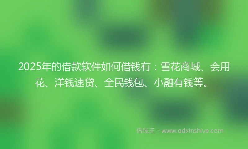 2025年的借款软件如何借钱有：雪花商城、会用花、洋钱速贷、全民钱包、小融有钱等。