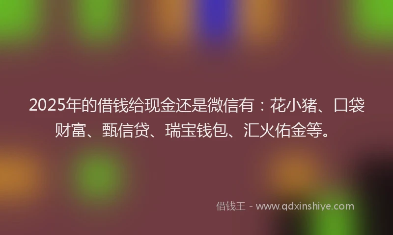 2025年的借钱给现金还是微信有：花小猪、口袋财富、甄信贷、瑞宝钱包、汇火佑金等。