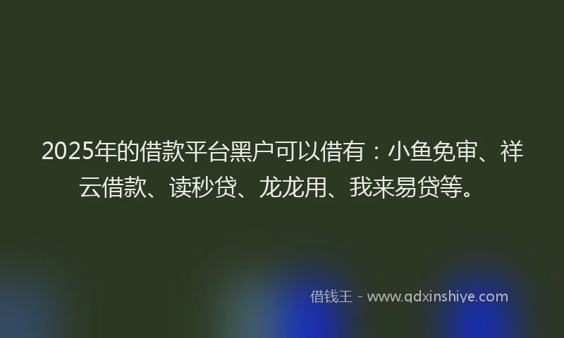 2025年的借款平台黑户可以借有：小鱼免审、祥云借款、读秒贷、龙龙用、我来易贷等。