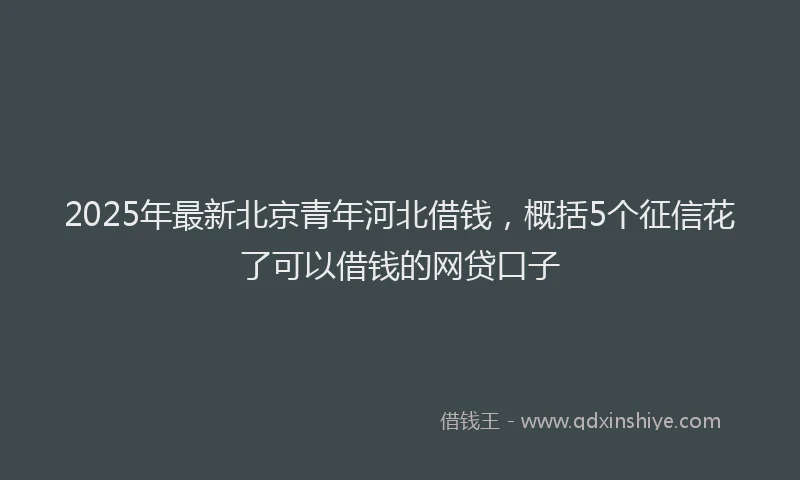 2025年最新北京青年河北借钱，概括5个征信花了可以借钱的网贷口子
