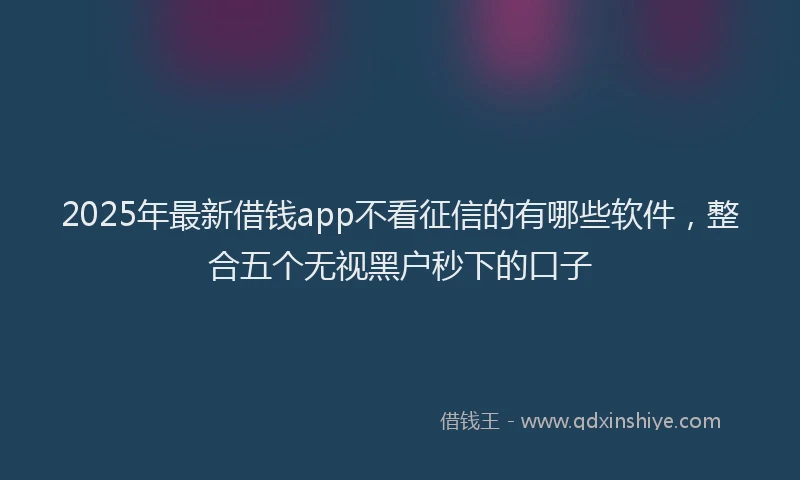 2025年最新借钱app不看征信的有哪些软件，整合五个无视黑户秒下的口子
