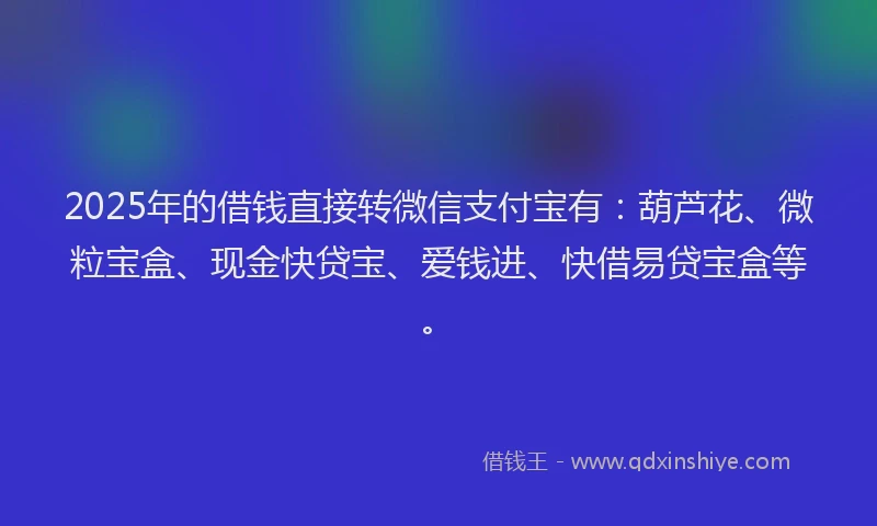 2025年的借钱直接转微信支付宝有：葫芦花、微粒宝盒、现金快贷宝、爱钱进、快借易贷宝盒等。