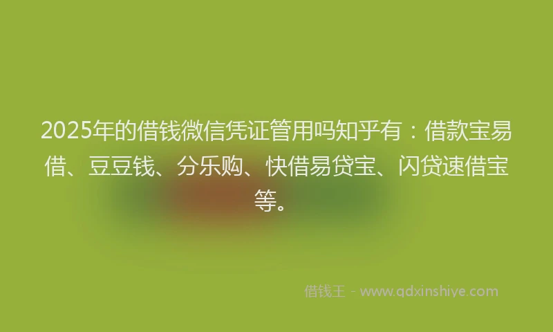 2025年的借钱微信凭证管用吗知乎有：借款宝易借、豆豆钱、分乐购、快借易贷宝、闪贷速借宝等。