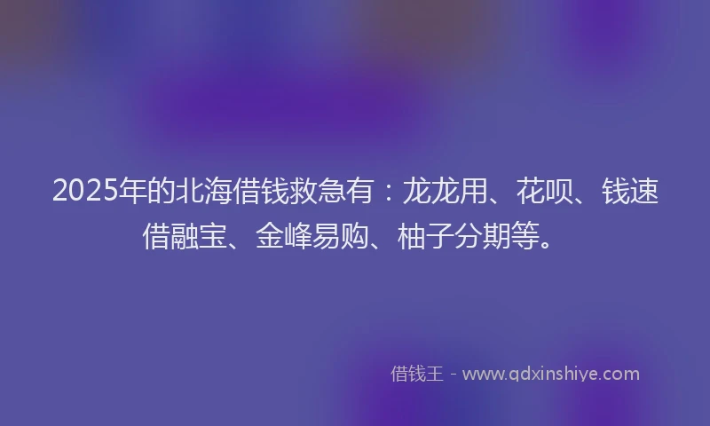 2025年的北海借钱救急有：龙龙用、花呗、钱速借融宝、金峰易购、柚子分期等。