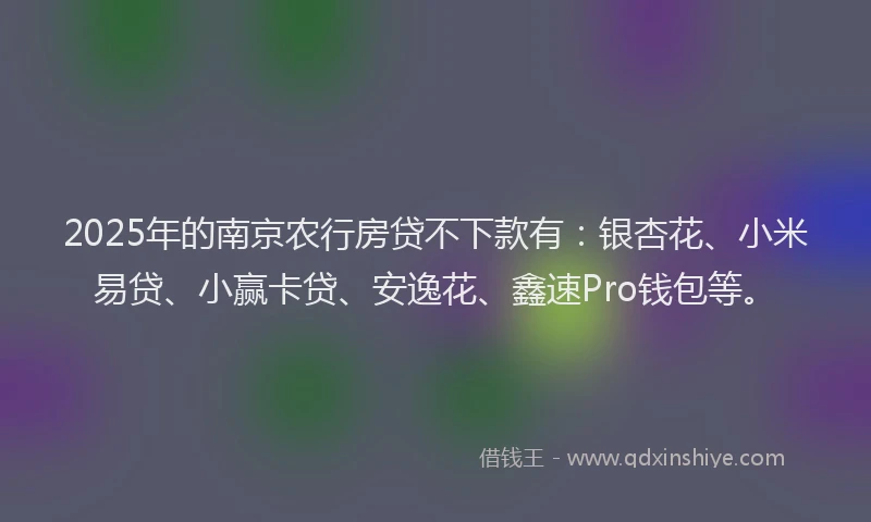 2025年的南京农行房贷不下款有：银杏花、小米易贷、小赢卡贷、安逸花、鑫速Pro钱包等。