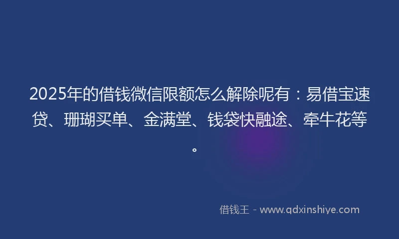 2025年的借钱微信限额怎么解除呢有：易借宝速贷、珊瑚买单、金满堂、钱袋快融途、牵牛花等。