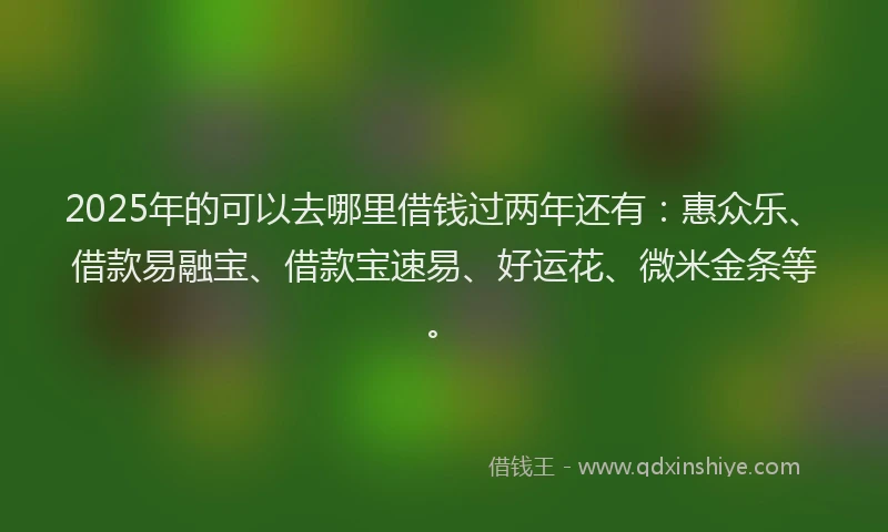 2025年的可以去哪里借钱过两年还有：惠众乐、借款易融宝、借款宝速易、好运花、微米金条等。