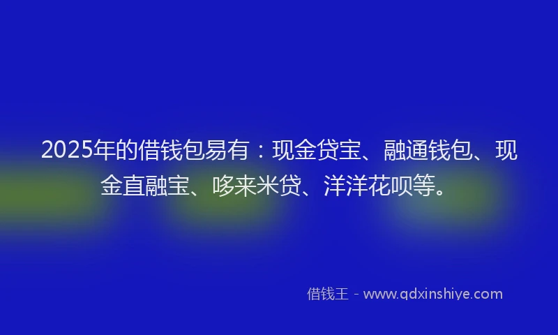 2025年的借钱包易有：现金贷宝、融通钱包、现金直融宝、哆来米贷、洋洋花呗等。