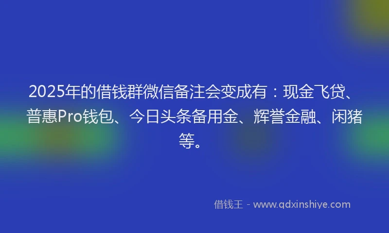 2025年的借钱群微信备注会变成有：现金飞贷、普惠Pro钱包、今日头条备用金、辉誉金融、闲猪等。