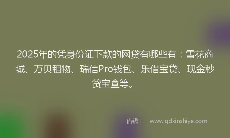 2025年的凭身份证下款的网贷有哪些有：雪花商城、万贝租物、瑞信Pro钱包、乐借宝贷、现金秒贷宝盒等。