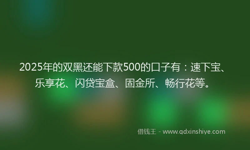 2025年的双黑还能下款500的口子有：速下宝、乐享花、闪贷宝盒、固金所、畅行花等。