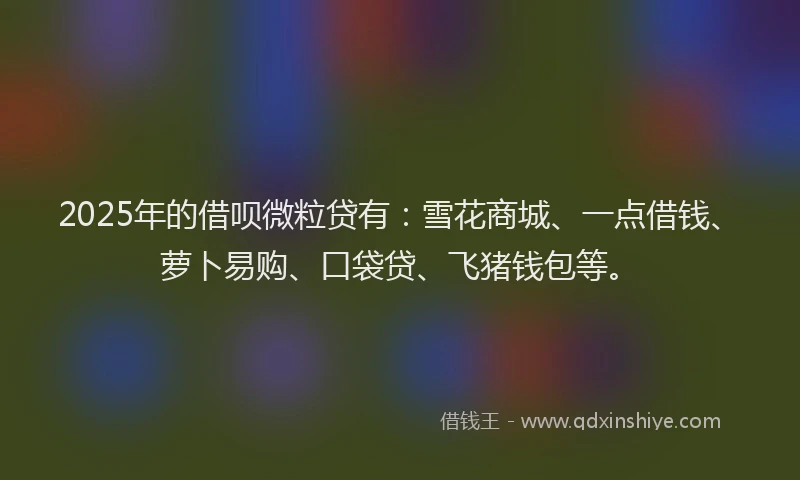 2025年的借呗微粒贷有：雪花商城、一点借钱、萝卜易购、口袋贷、飞猪钱包等。