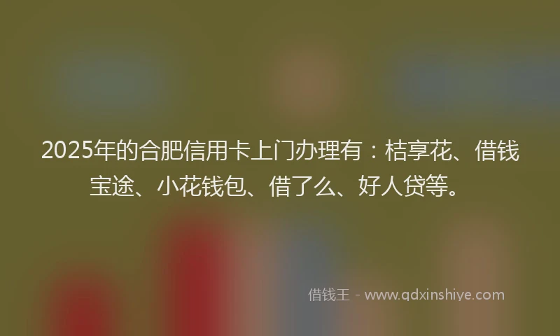 2025年的合肥信用卡上门办理有：桔享花、借钱宝途、小花钱包、借了么、好人贷等。