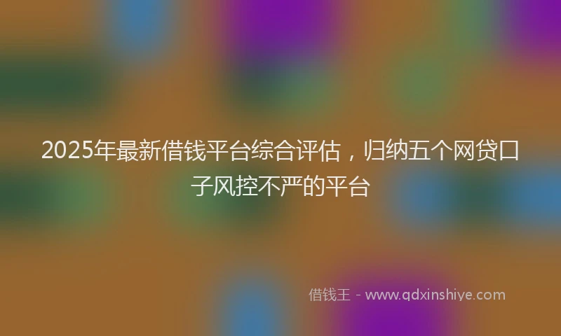 2025年最新借钱平台综合评估，归纳五个网贷口子风控不严的平台