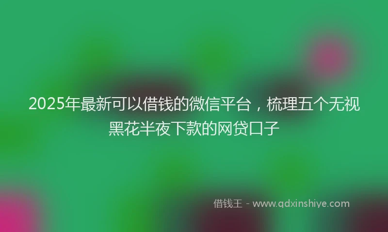 2025年最新可以借钱的微信平台，梳理五个无视黑花半夜下款的网贷口子