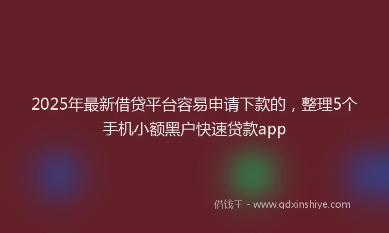 2025年最新借贷平台容易申请下款的，整理5个手机小额黑户快速贷款app