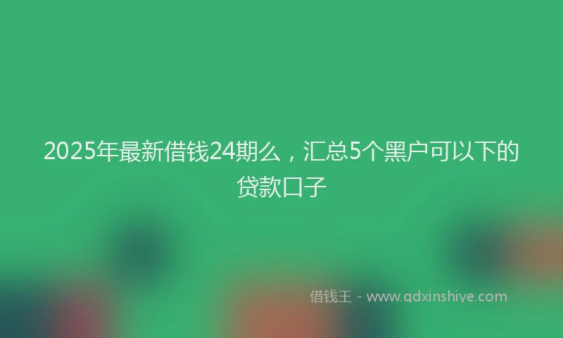 2025年最新借钱24期么，汇总5个黑户可以下的贷款口子