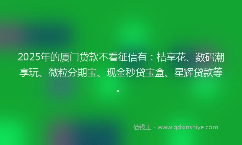 2025年的厦门贷款不看征信有：桔享花、数码潮享玩、微粒分期宝、现金秒贷宝盒、星辉贷款等。