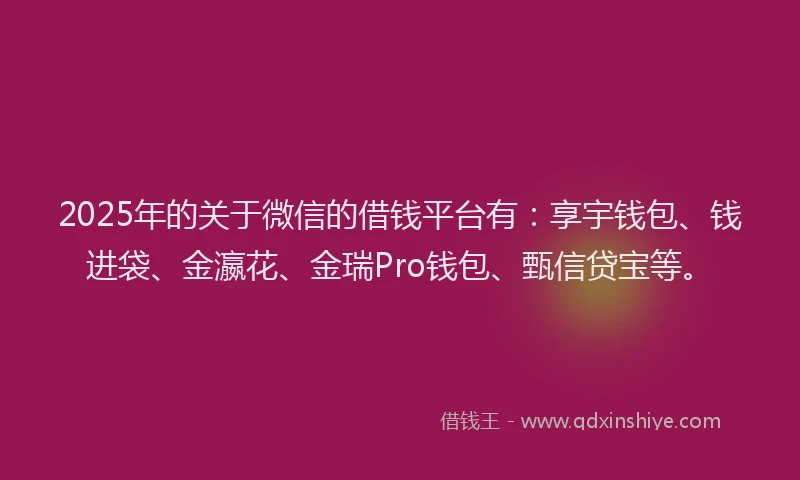 2025年的关于微信的借钱平台有：享宇钱包、钱进袋、金瀛花、金瑞Pro钱包、甄信贷宝等。