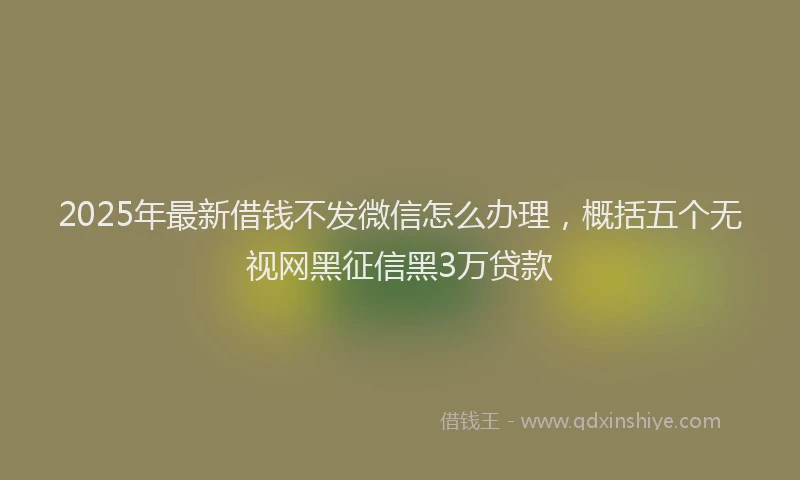 2025年最新借钱不发微信怎么办理，概括五个无视网黑征信黑3万贷款