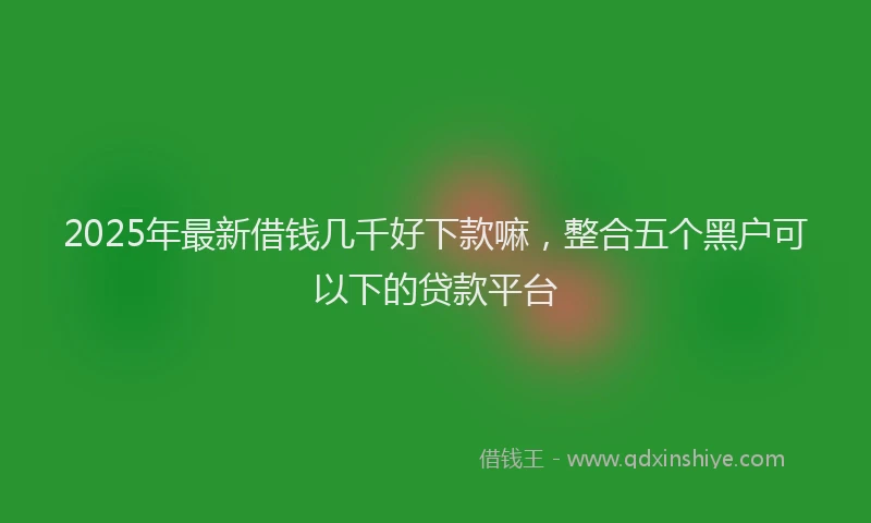 2025年最新借钱几千好下款嘛，整合五个黑户可以下的贷款平台