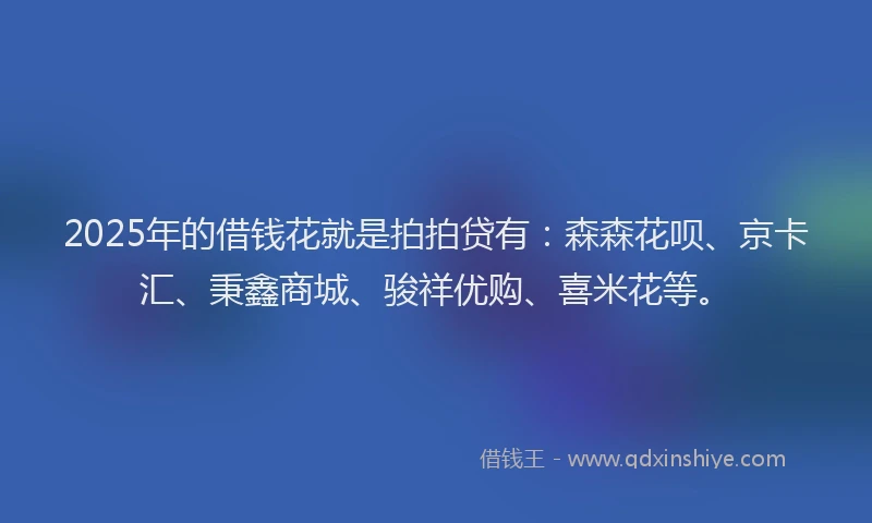 2025年的借钱花就是拍拍贷有：森森花呗、京卡汇、秉鑫商城、骏祥优购、喜米花等。