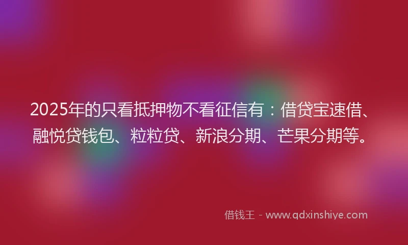 2025年的只看抵押物不看征信有：借贷宝速借、融悦贷钱包、粒粒贷、新浪分期、芒果分期等。