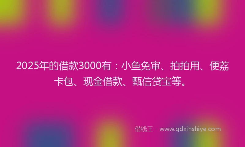 2025年的借款3000有：小鱼免审、拍拍用、便荔卡包、现金借款、甄信贷宝等。