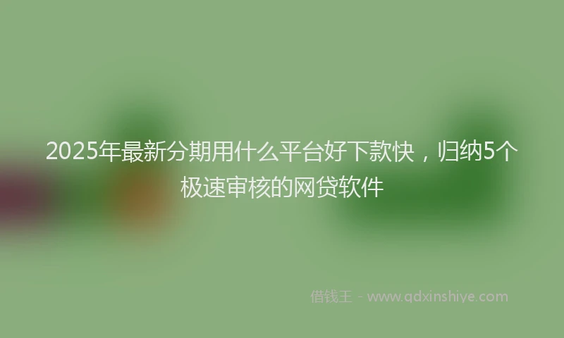 2025年最新分期用什么平台好下款快，归纳5个极速审核的网贷软件