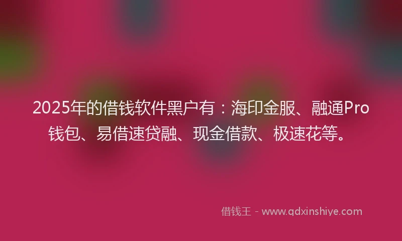 2025年的借钱软件黑户有：海印金服、融通Pro钱包、易借速贷融、现金借款、极速花等。