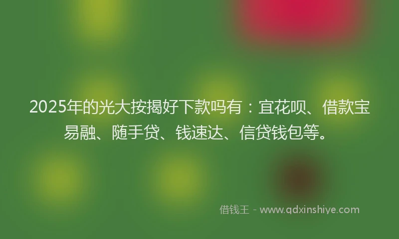 2025年的光大按揭好下款吗有：宜花呗、借款宝易融、随手贷、钱速达、信贷钱包等。