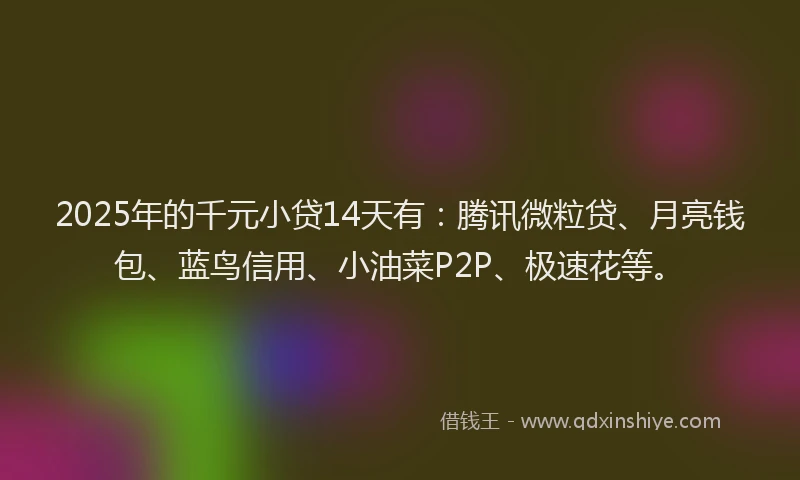 2025年的千元小贷14天有：腾讯微粒贷、月亮钱包、蓝鸟信用、小油菜P2P、极速花等。