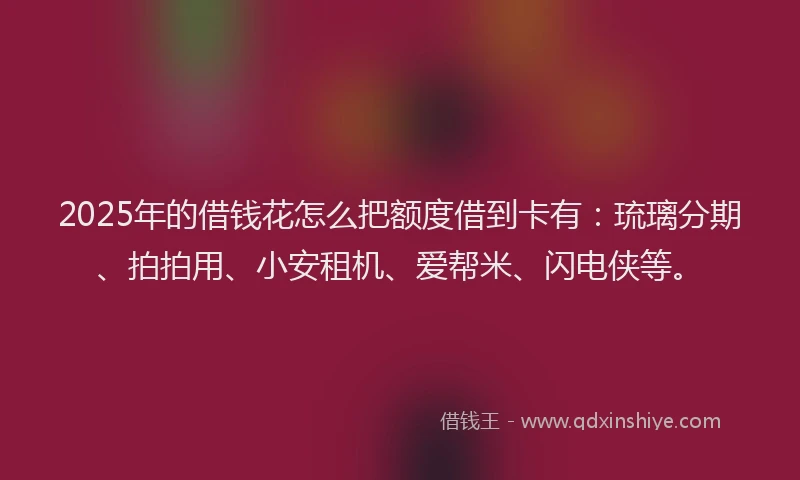 2025年的借钱花怎么把额度借到卡有：琉璃分期、拍拍用、小安租机、爱帮米、闪电侠等。