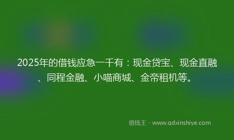 2025年的借钱应急一千有：现金贷宝、现金直融、同程金融、小喵商城、金帝租机等。