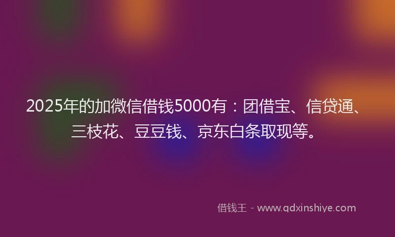 2025年的加微信借钱5000有：团借宝、信贷通、三枝花、豆豆钱、京东白条取现等。