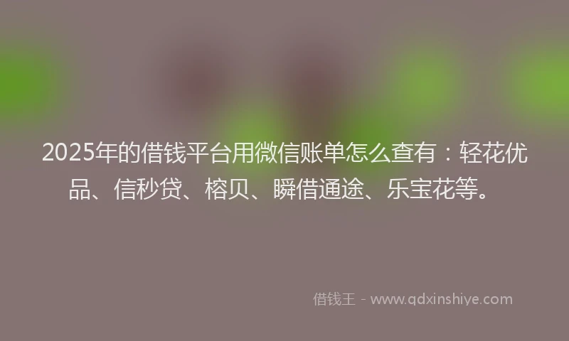 2025年的借钱平台用微信账单怎么查有：轻花优品、信秒贷、榕贝、瞬借通途、乐宝花等。