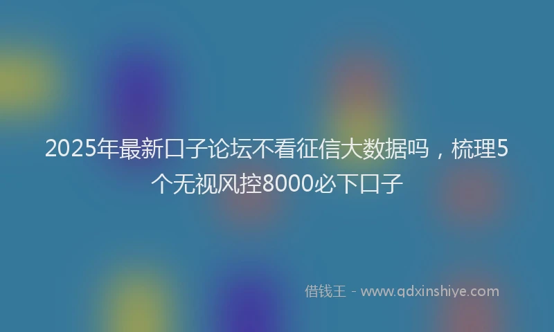 2025年最新口子论坛不看征信大数据吗，梳理5个无视风控8000必下口子
