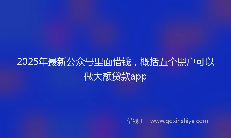 2025年最新公众号里面借钱，概括五个黑户可以做大额贷款app