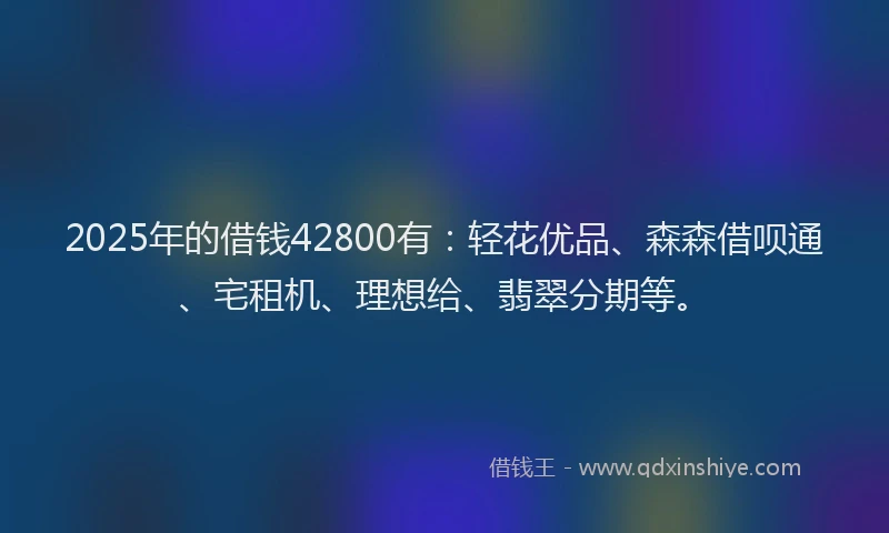 2025年的借钱42800有：轻花优品、森森借呗通、宅租机、理想给、翡翠分期等。