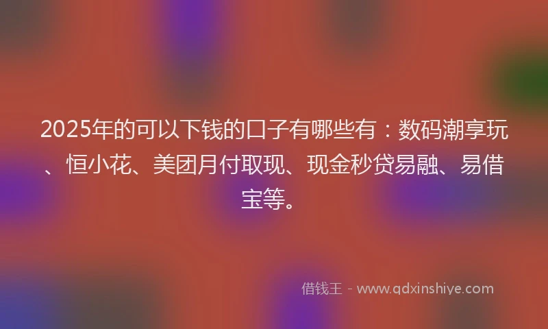 2025年的可以下钱的口子有哪些有：数码潮享玩、恒小花、美团月付取现、现金秒贷易融、易借宝等。