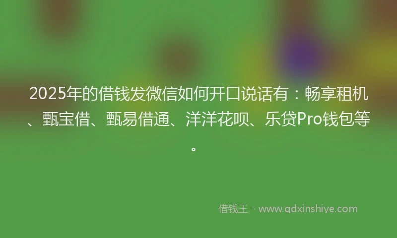 2025年的借钱发微信如何开口说话有：畅享租机、甄宝借、甄易借通、洋洋花呗、乐贷Pro钱包等。